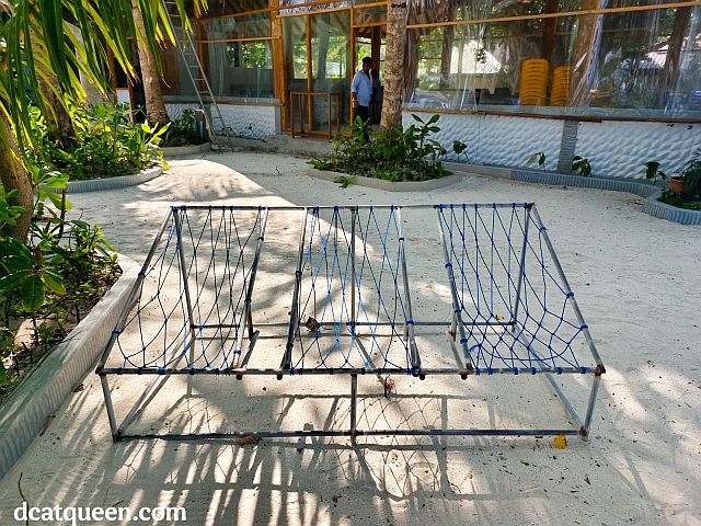 kegiatan seru di maldives