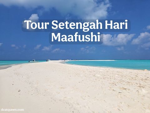 WISATA MALDIVES: WISATA TOUR SETENGAH HARI DENGAN ICOM TOURS MAAFUSHI