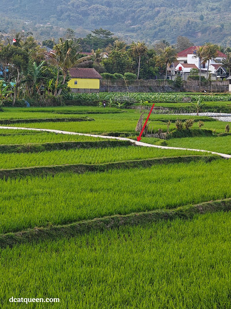 hotel dengan view terbaik di garut
