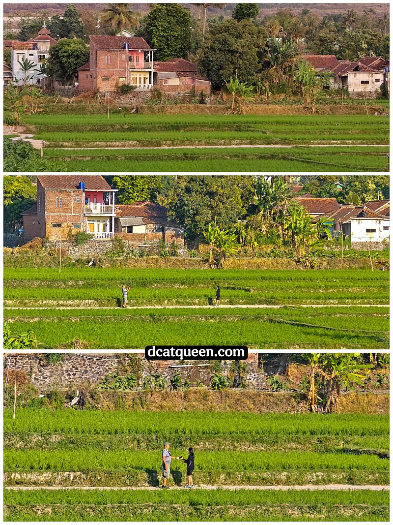 hotel di garut dengan jogging track